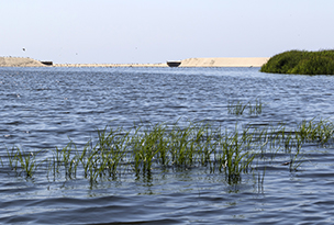 Lagune de Paramos ‐ Observatoire d'oiseaux